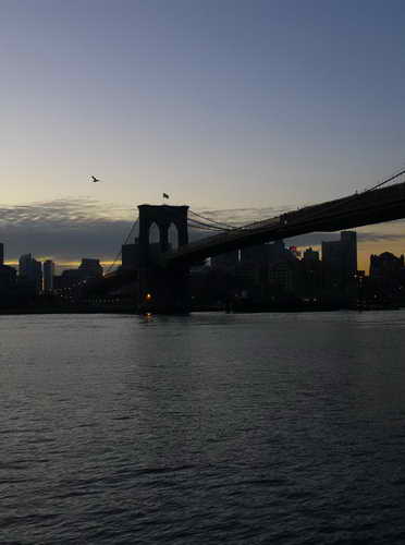 NYC_2012-11-21 06-41-31_P1070327